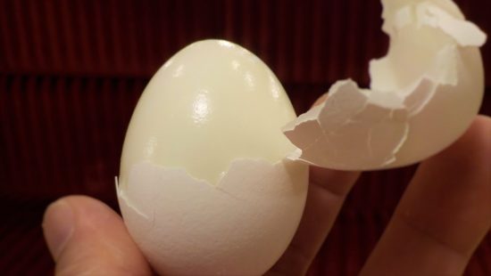 ゆで卵の殻が剥けない理由は 熱いうちが良いの 半熟の時は 知っておきたい食のあれこれ