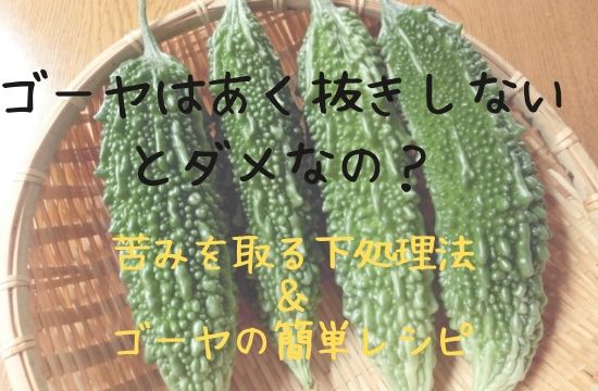 ゴーヤはあく抜きしないとダメ 苦みを取る下処理法と簡単レシピ 知っておきたい食のあれこれ